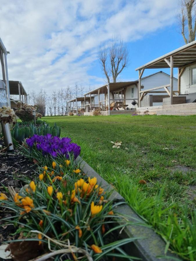 Chalet Tulpenweide - Recreatie Breezand Bagian luar foto