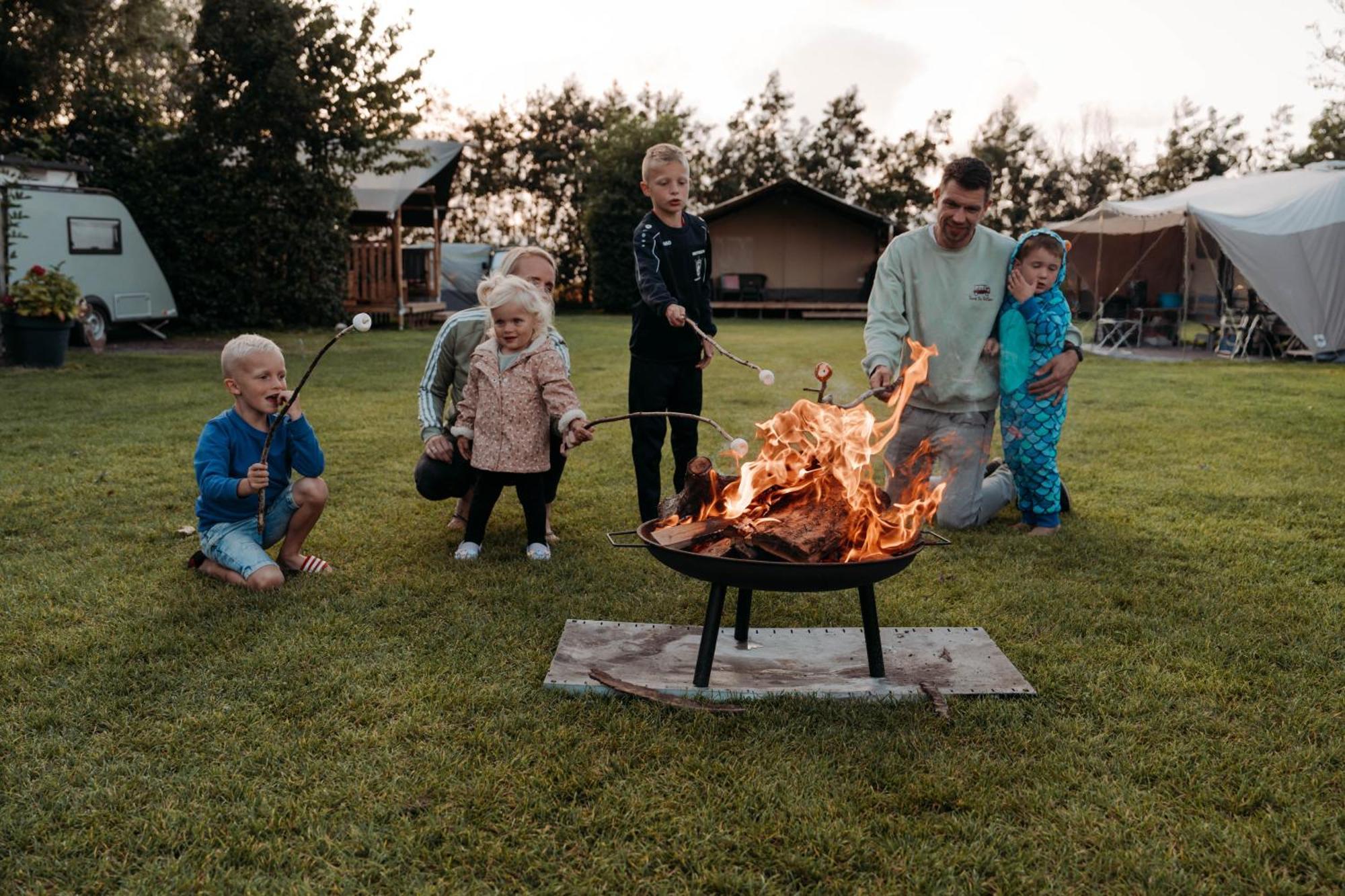 Chalet Tulpenweide - Recreatie Breezand Bagian luar foto